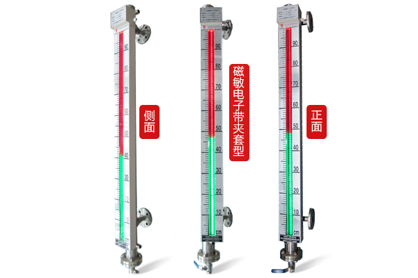 SSP系列磁敏電子雙色液位計(jì)